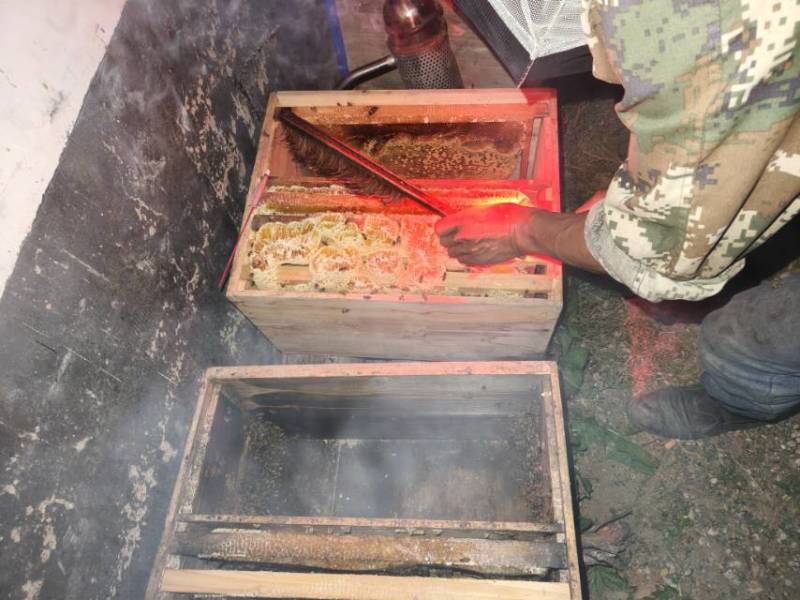 宝鸡***野生蜂蜜，原生态***，健康甜蜜好滋味