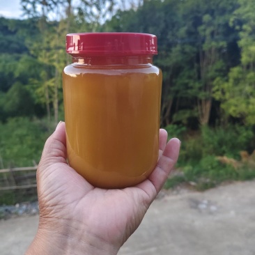 纯野生蜂蜜，大山里的原生态！纯度高价格商议