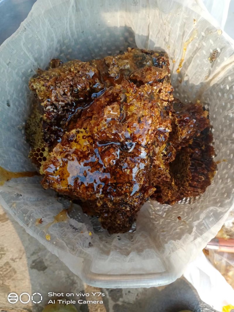 纯野生蜂蜜，大山里的原生态！纯度高价格商议