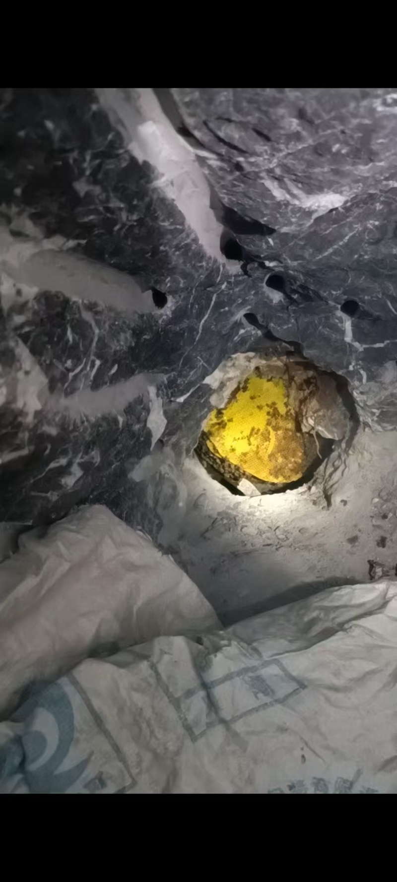 纯野生蜂蜜，大山里的原生态！纯度高价格商议