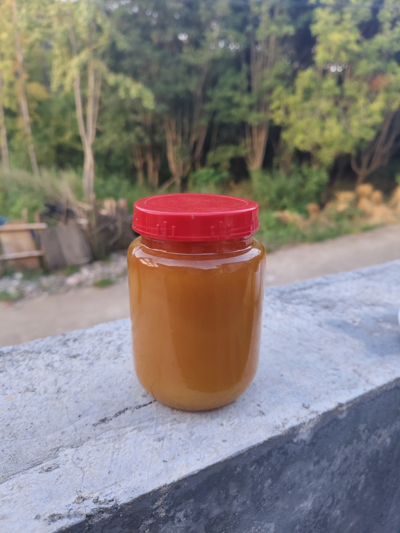 纯野生蜂蜜，大山里的原生态！纯度高价格商议