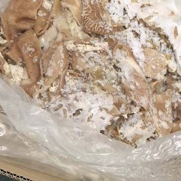 牛大肠小肠牛净肚，工厂直销品质保证，新鲜现货，量大从优！