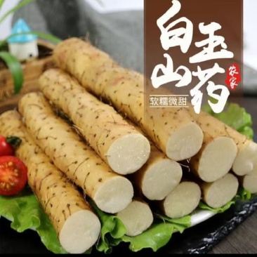 银川白玉山药，产地直发，可以视频看货，对接市场电商平台