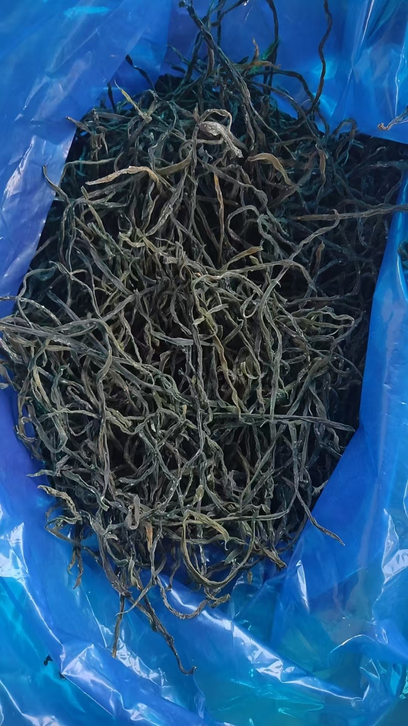 二级架豆王