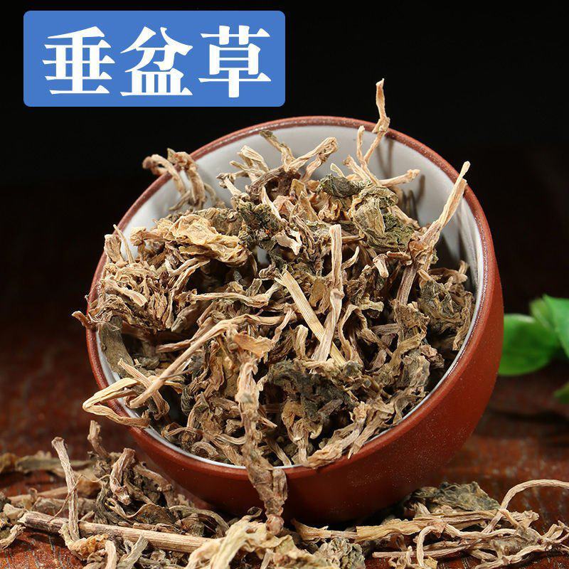野生垂盆草正品中药材干货正品泡茶正宗药用无流锤垂正宗垂盆