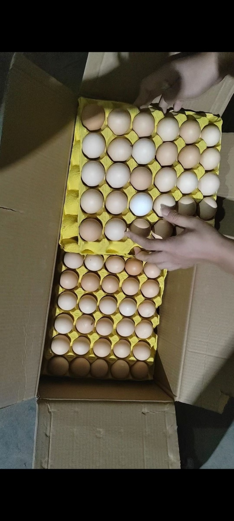 大码粉壳蛋40-45码入库三个半月