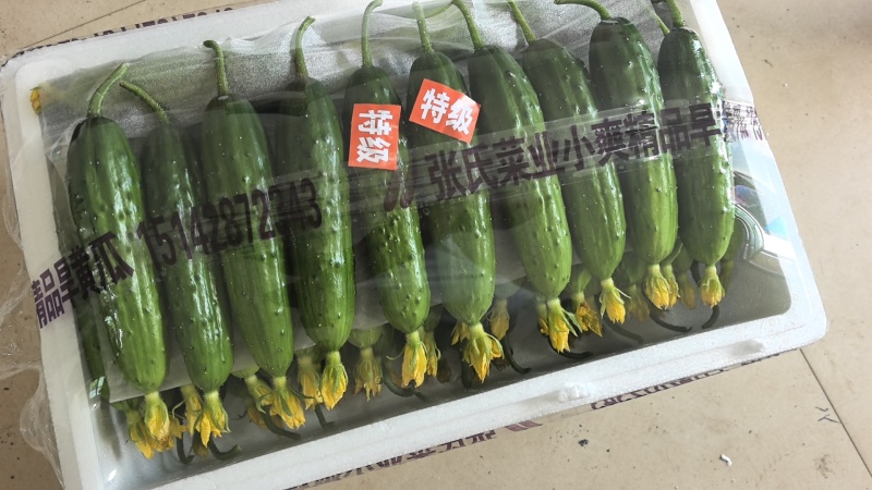 精品黄瓜