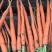 帝王系，基地种植基地种植