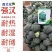 西兰花苗高产抗病，根系发达成活率高达99