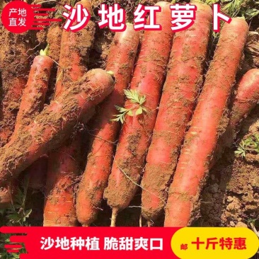 红萝卜一件代发机制拉满