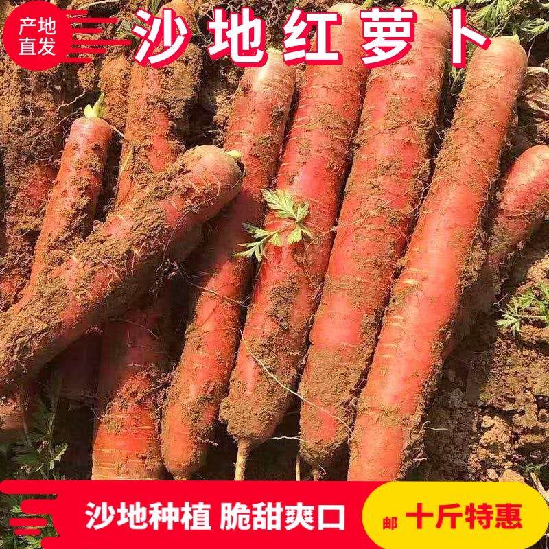 红萝卜一件代发机制拉满