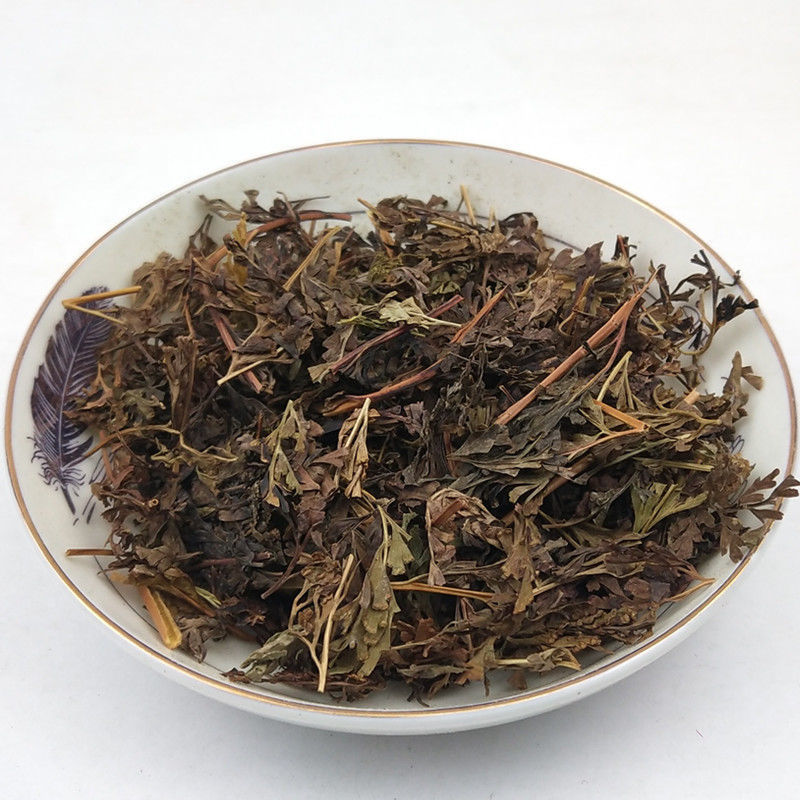 乌韭中药材野生大叶金花草金花草乌韭乌蕨青蕨雪仙草5