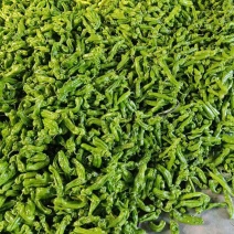 芜湖椒苏椒