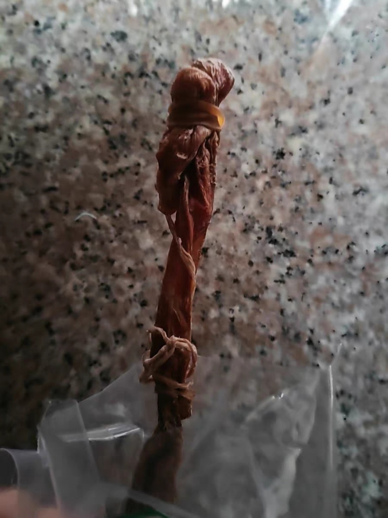 包邮）特级海鞭肾狗肾狗鞭干带睾丸干货泡酒料大滋补海狗鞭
