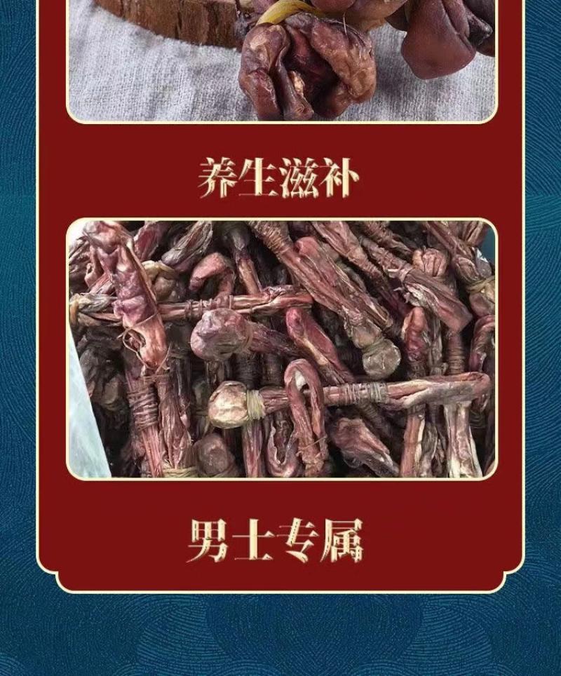 包邮）特级海鞭肾狗肾狗鞭干带睾丸干货泡酒料大滋补海狗鞭