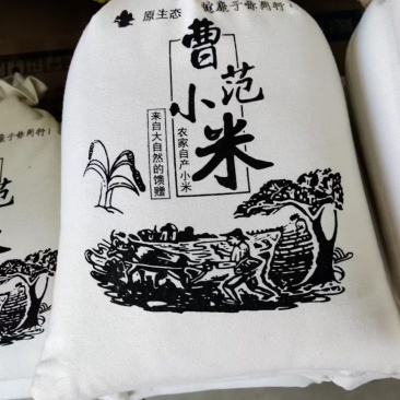 今年的新小米（济南章丘曹范）