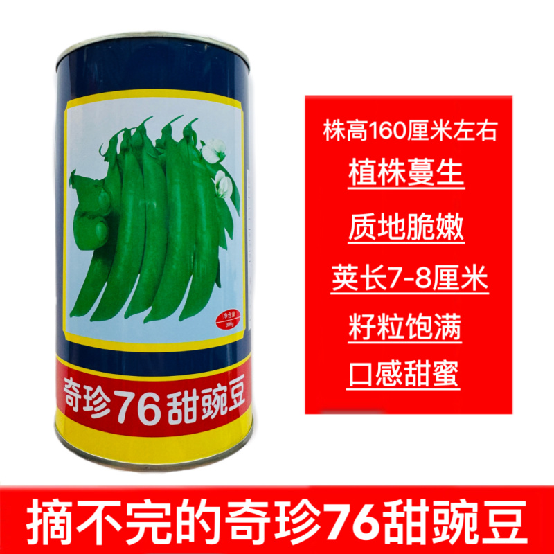 奇珍76甜豌豆种子软荚春秋奇珍甜脆豌豆类型种籽