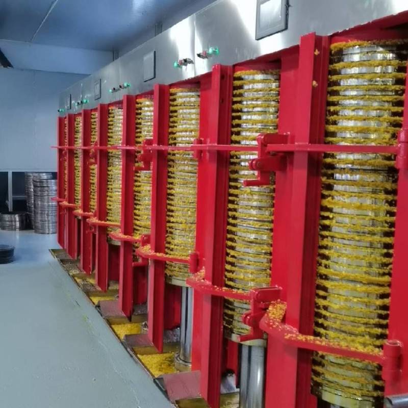 冷压笨榨大豆油大量供应精品大豆油全国发货欢迎来电采