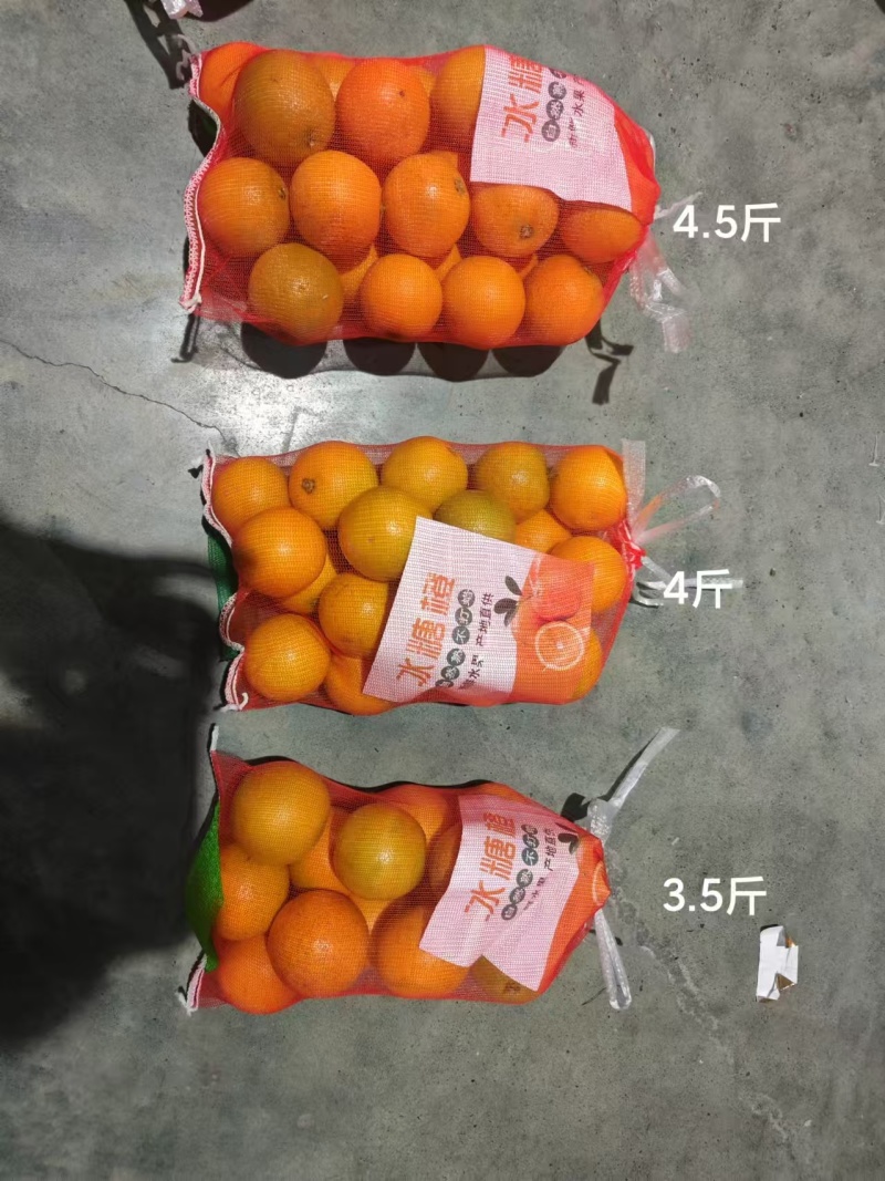 湖南冰糖橙基地直供品质优甜度高，支持视频看货欢迎咨询来电