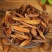 云南野生中药材喜树果千丈树水栗子天梓树
