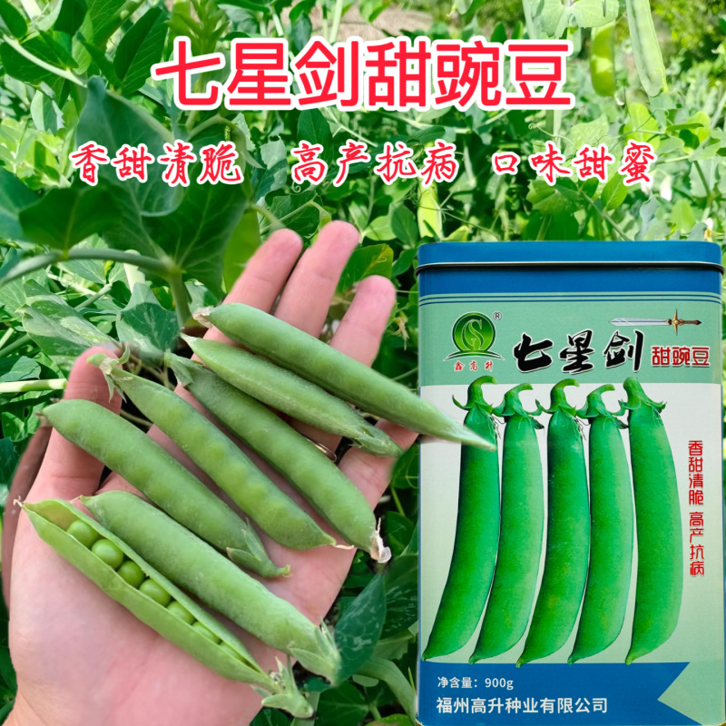 七星剑甜豌豆种子软荚白花纤维少脆嫩豌豆种籽秋播抗病高产