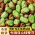 包邮）保山绿心蚕豆新货原味香酥云南兰花豆胡豆炒货干货