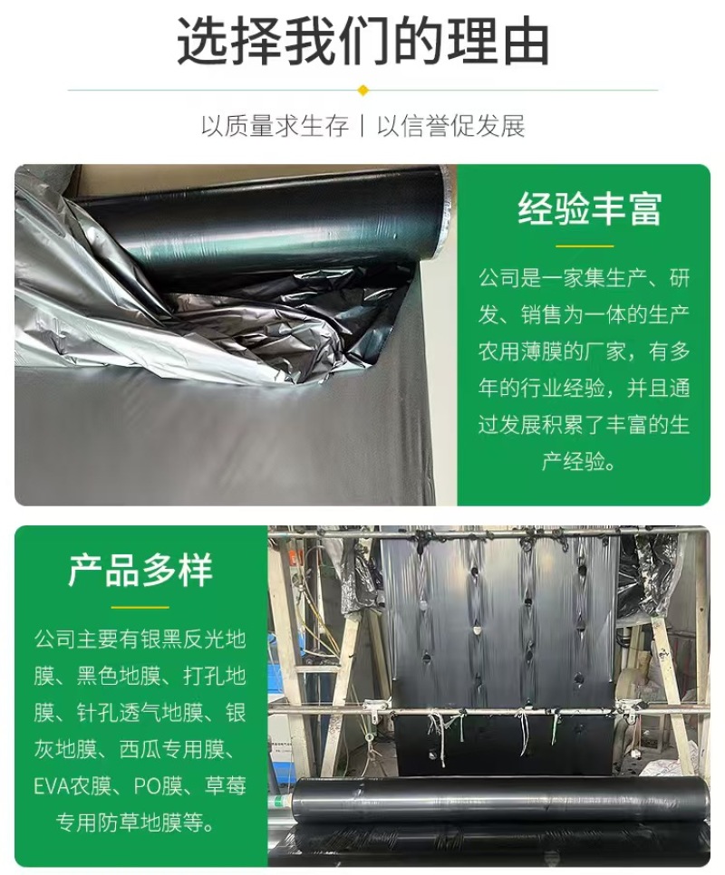 银黑地膜种植专用地膜保湿除草地膜打孔膜黑地膜白地膜