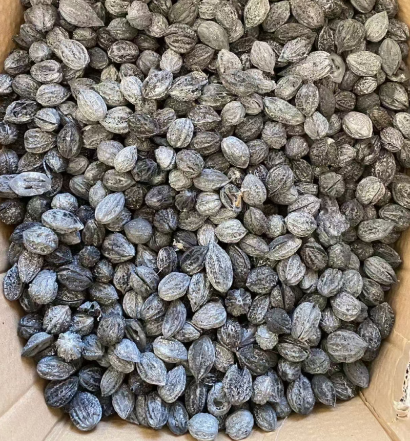 桃核碳（天然），无烟，原头碳厂，价格实惠，欢迎合作。