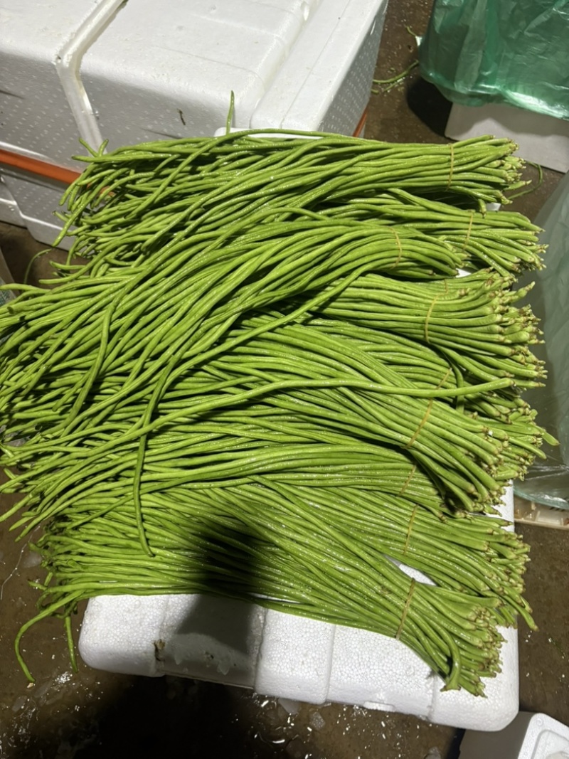 精品货，中上货，满足老板一切需求。