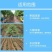 内镶圆柱式滴灌管PE工厂直发保质保量售后无忧