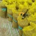 山药豆原产地规格齐白玉山药山东山药豆对接电商市场批发