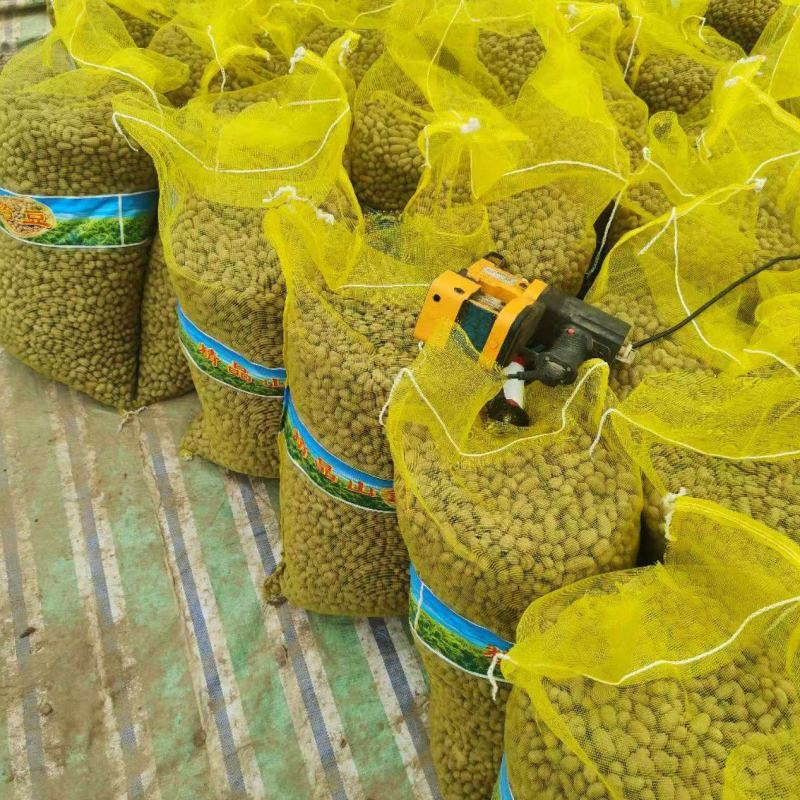 山药豆原产地规格齐白玉山药山东山药豆对接电商市场批发