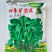 四季芽苗菜鲜嫩无须嫩豌豆苗种子四季可播种适应性强耐寒抗病