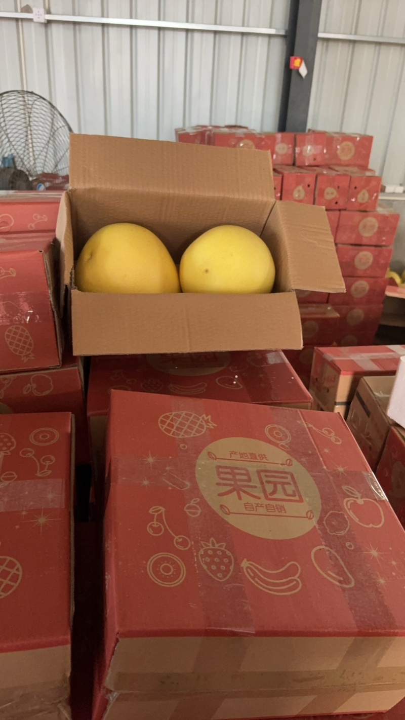 福建漳州红心柚一件代发团购和大量批发欢迎对接