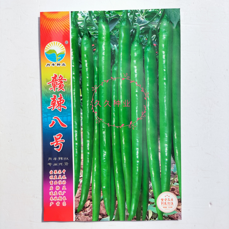 赣辣八号线椒种子早熟浓辣长果顺直油绿挂果多农家春秋播辣椒