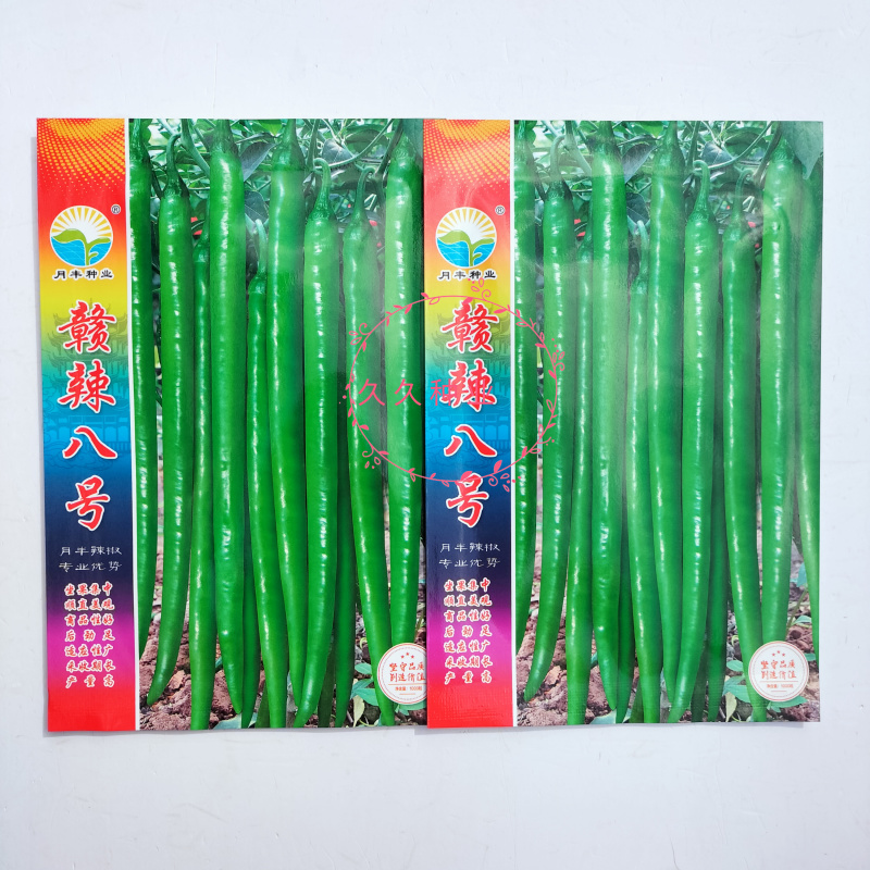 赣辣八号线椒种子早熟浓辣长果顺直油绿挂果多农家春秋播辣椒