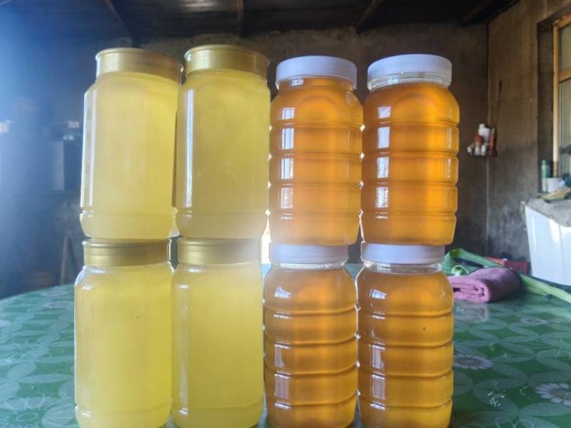 自家产士蜂蜜，产地兴安盟大草原，小杯树蜜，大草原上百花蜜