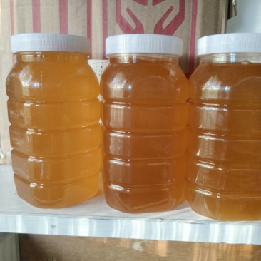自家产士蜂蜜，产地兴安盟大草原，小杯树蜜，大草原上百花蜜