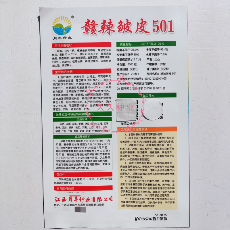 赣辣皱皮501辣椒种子早熟杂交味辣薄皮皱皮椒种籽春秋