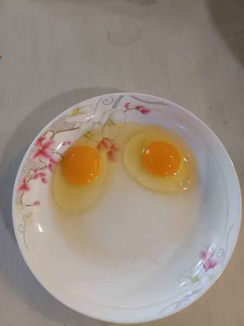 土鸡蛋散养