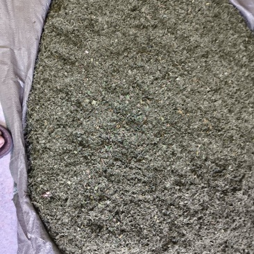 桑叶粉大量供应品质保证干净欢迎下单诚信经营