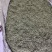 桑叶粉大量供应品质保证干净欢迎下单诚信经营