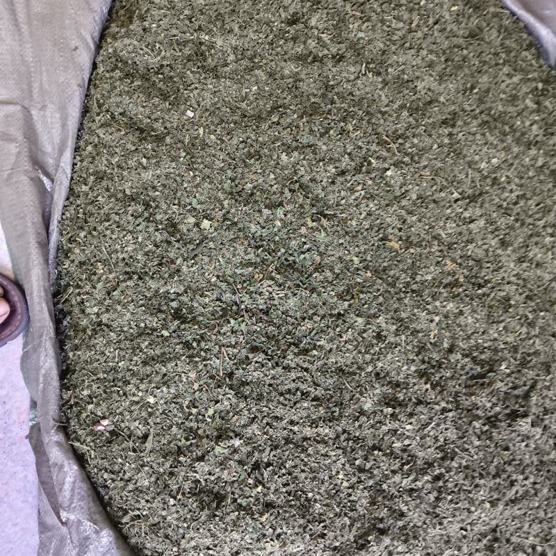桑叶粉大量供应品质保证干净欢迎下单诚信经营