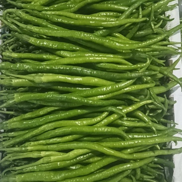 线辣椒