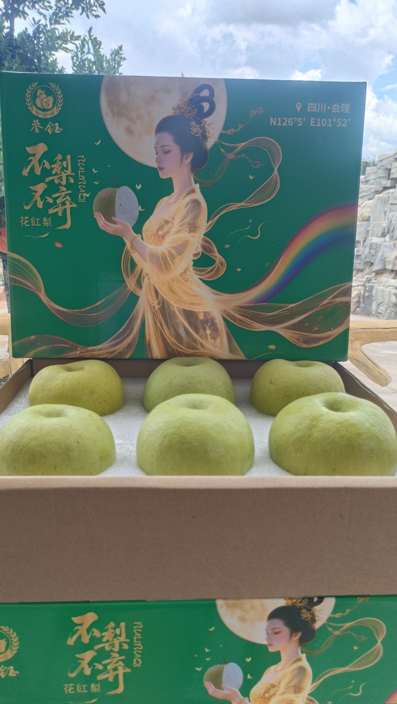 四川凉山会理花红梨