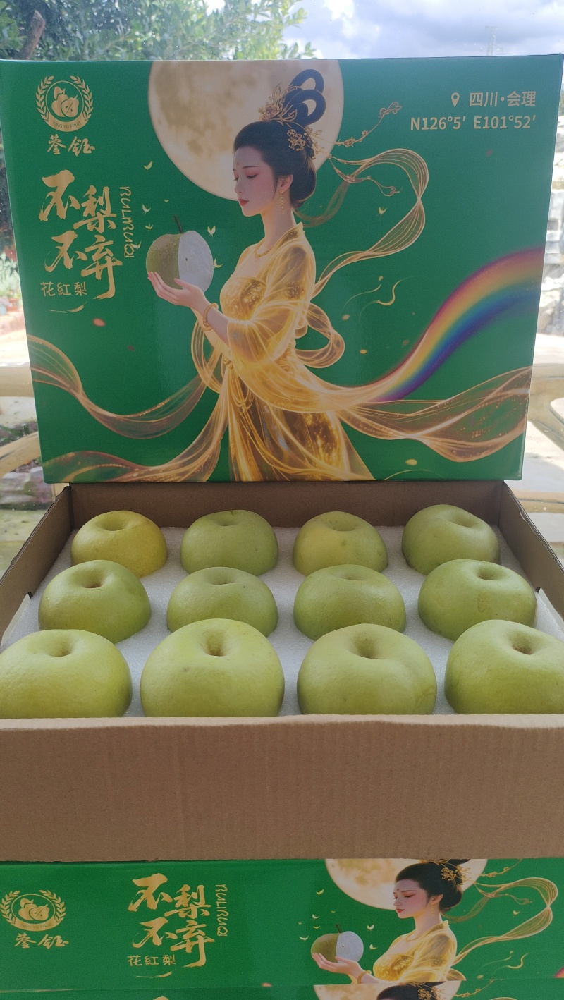 四川凉山会理花红梨