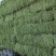 甘肃民勤优质苜蓿草玉米秸秆