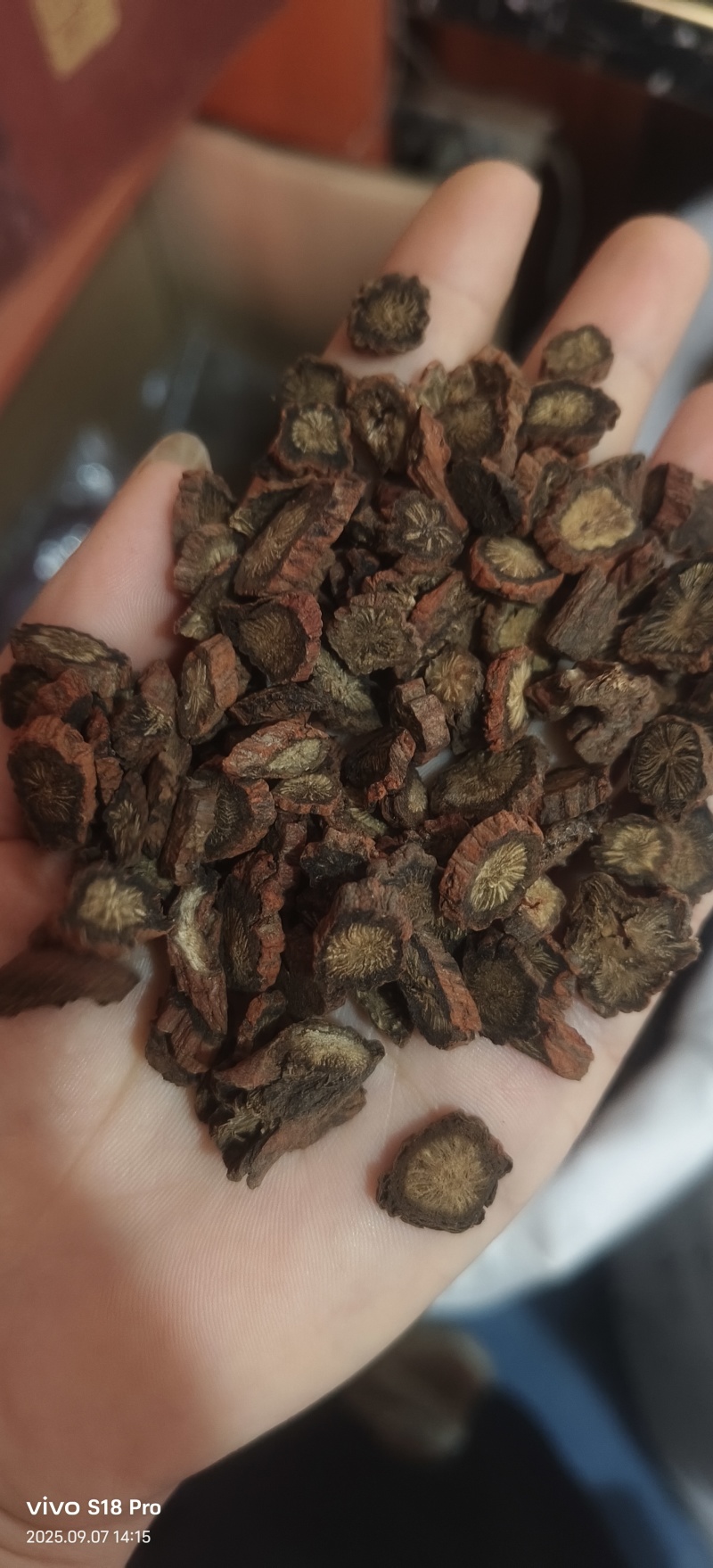 《紫丹参》正品紫丹参片过筛选货货干现货实物拍摄
