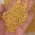 黄油菜籽一等油菜籽
