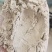 全麦粉